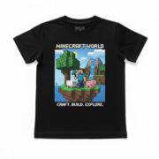 Minecraft T-Shirt